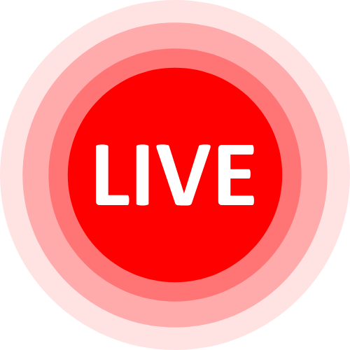 S T R I P Chat